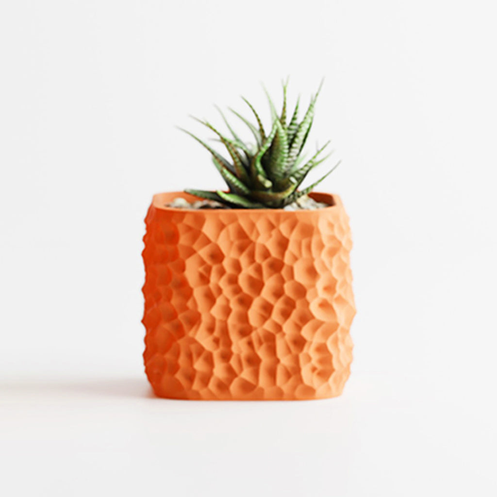 Cache-pot design à texture lunaire — lot de 2, 6 coloris