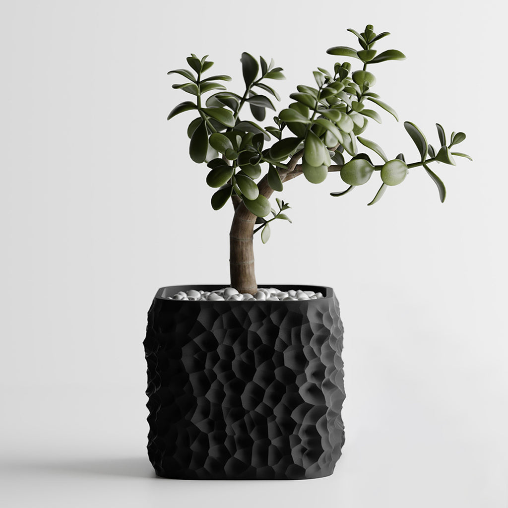 Cache-pot design à texture lunaire — lot de 2, 6 coloris