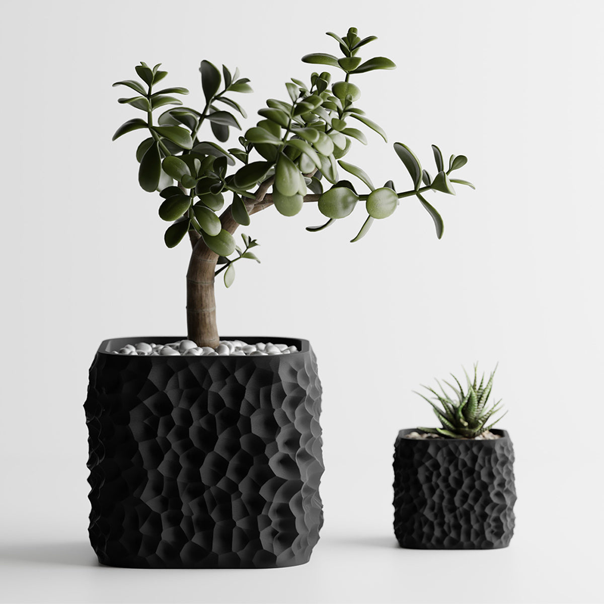 Noir