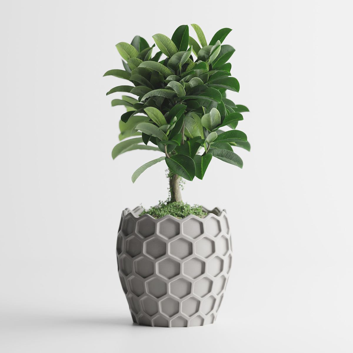 Cache-pot géométrique nid d'abeille Ø 20 cm — 7 coloris