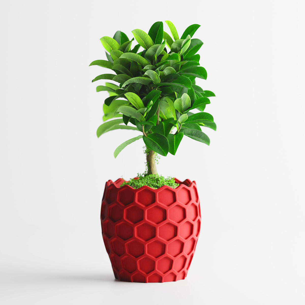 Cache-pot géométrique nid d'abeille Ø 20 cm — 7 coloris
