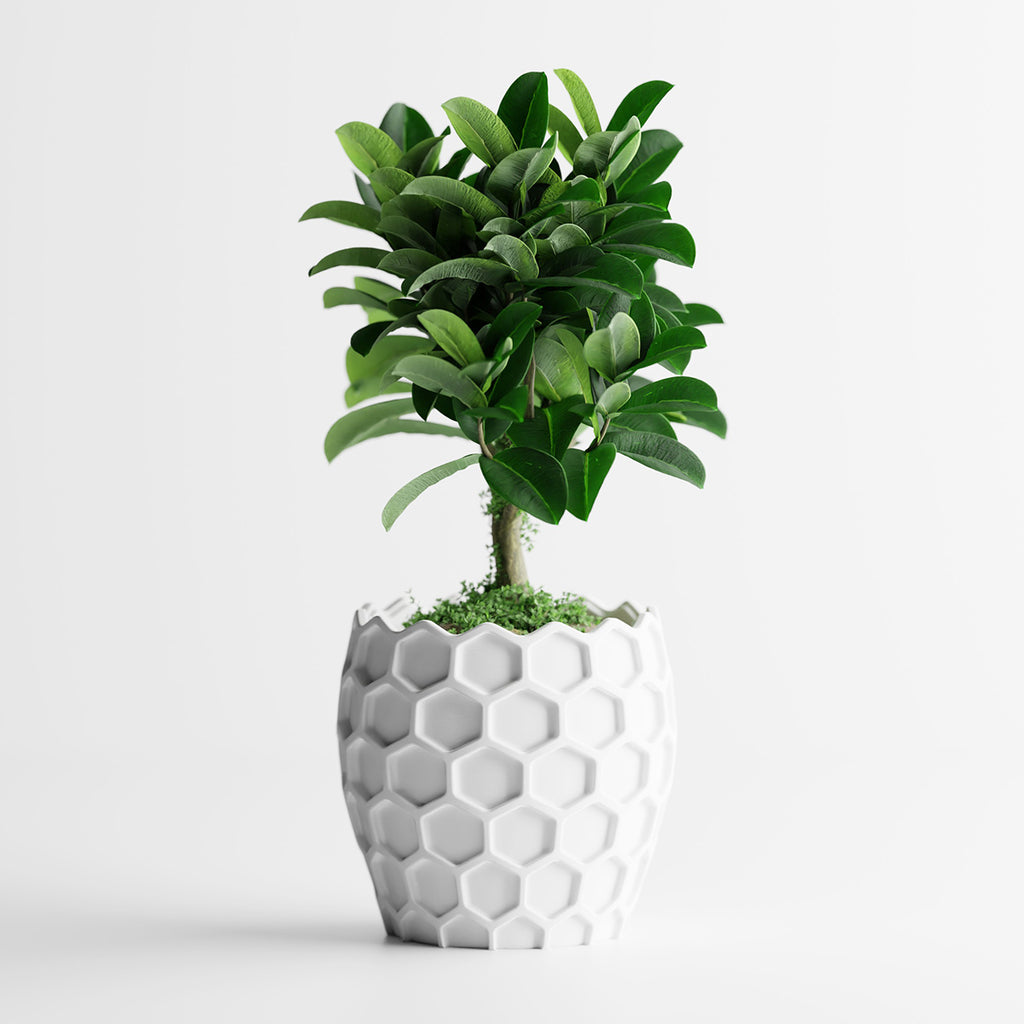 Cache-pot géométrique nid d'abeille Ø 20 cm — 7 coloris