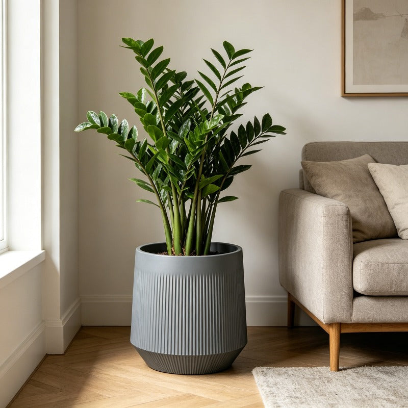 Cache-pot gris à nervures Ø 30 cm — grand format résine