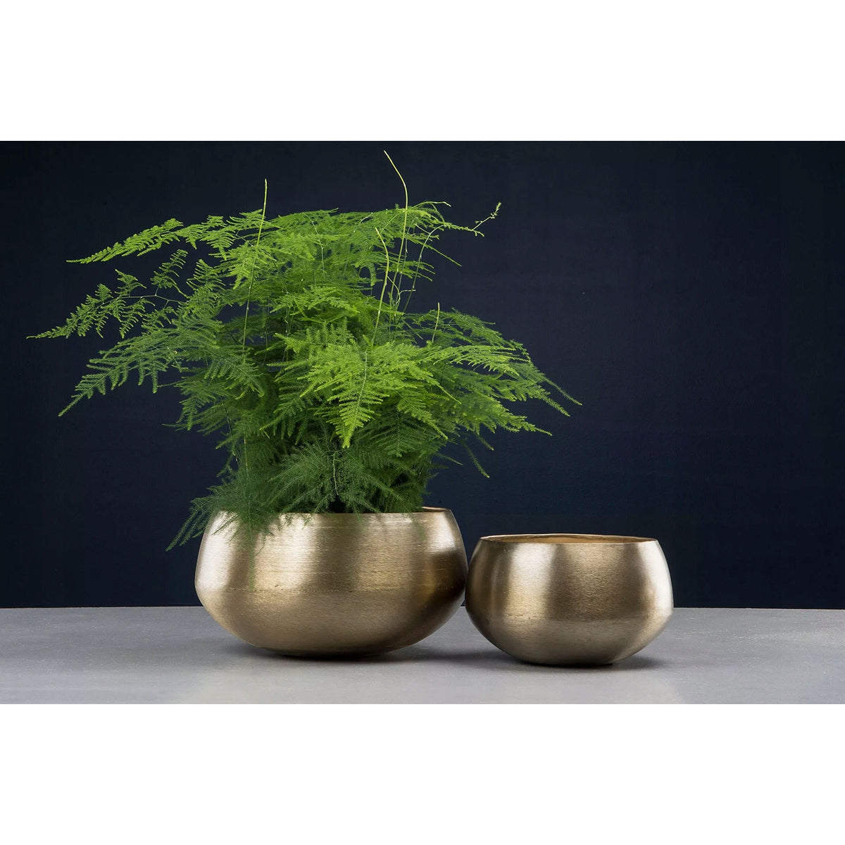 Cache-pot en métal doré Ø 32 cm - lot de 2 or brossé