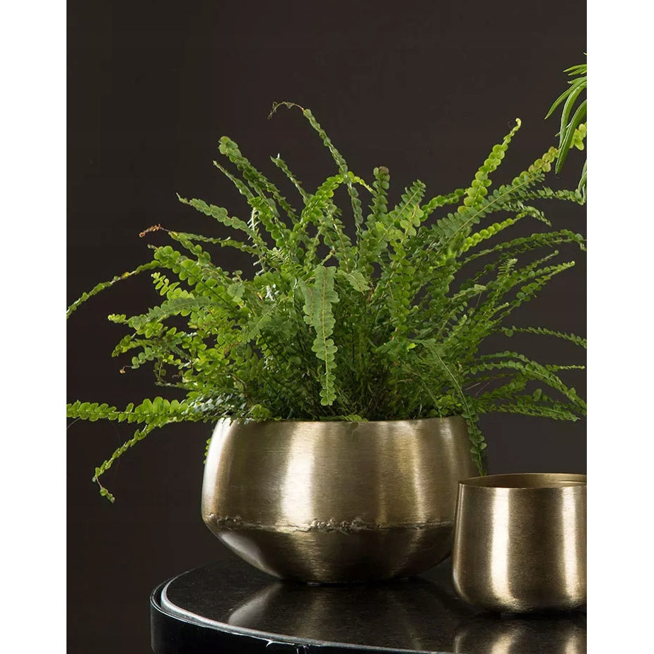 Cache-pot en métal doré Ø 32 cm - lot de 2 or brossé