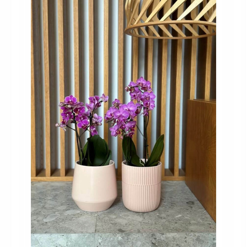Cache-pot orchidée en céramique mate rose Ø 13 × H 15 cm
