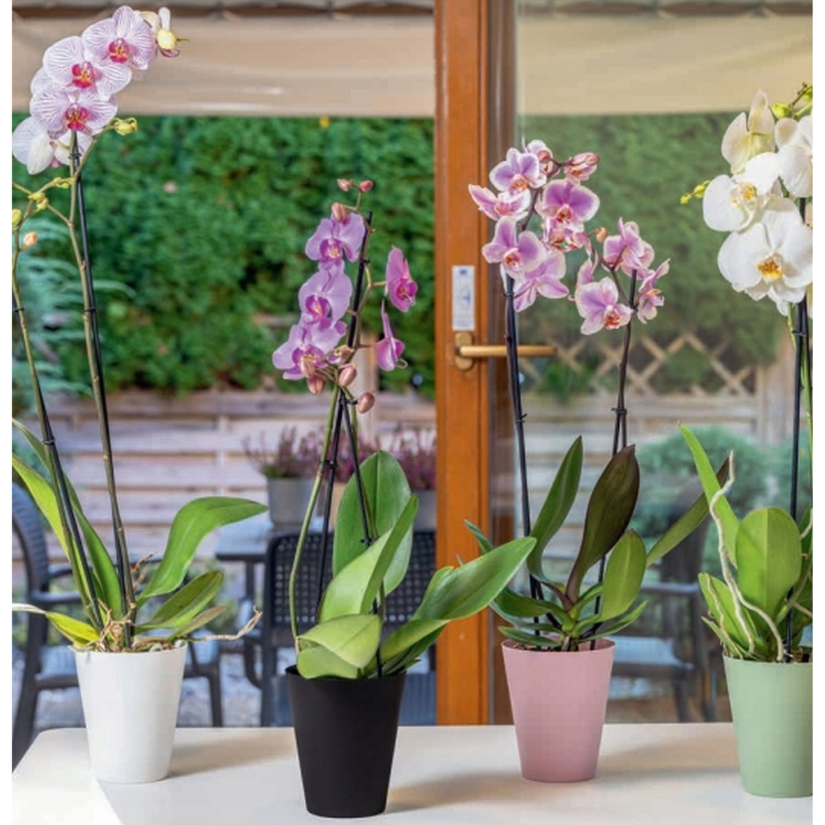 Cache-pot pour orchidée en plastique vert mat Ø 13 × H 15 cm
