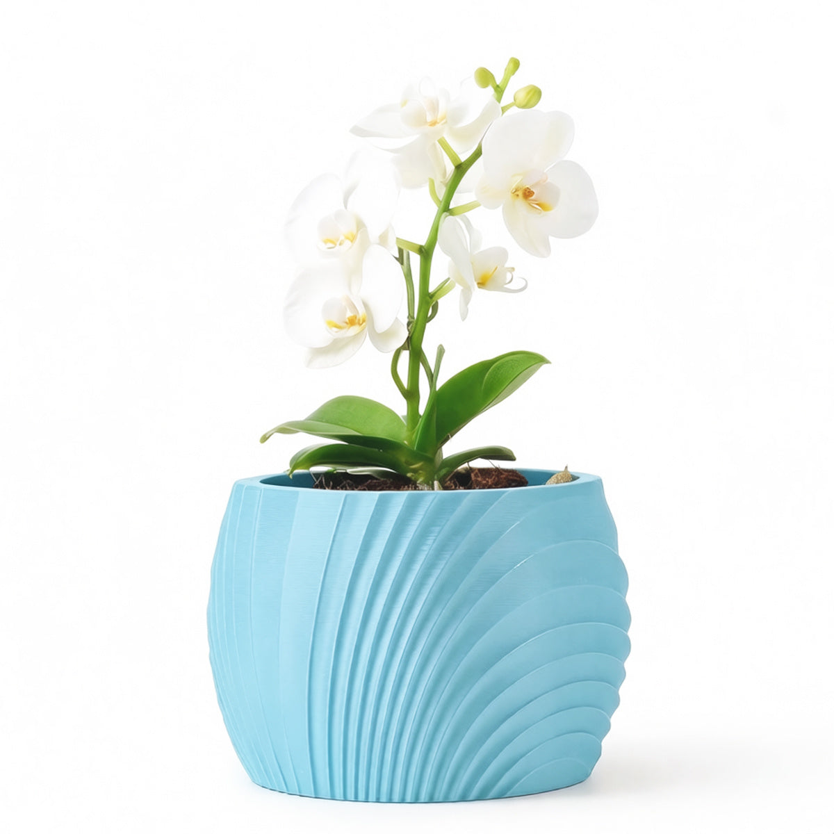 Cache-pot pour orchidée à ondes sculptées — 7 coloris mats
