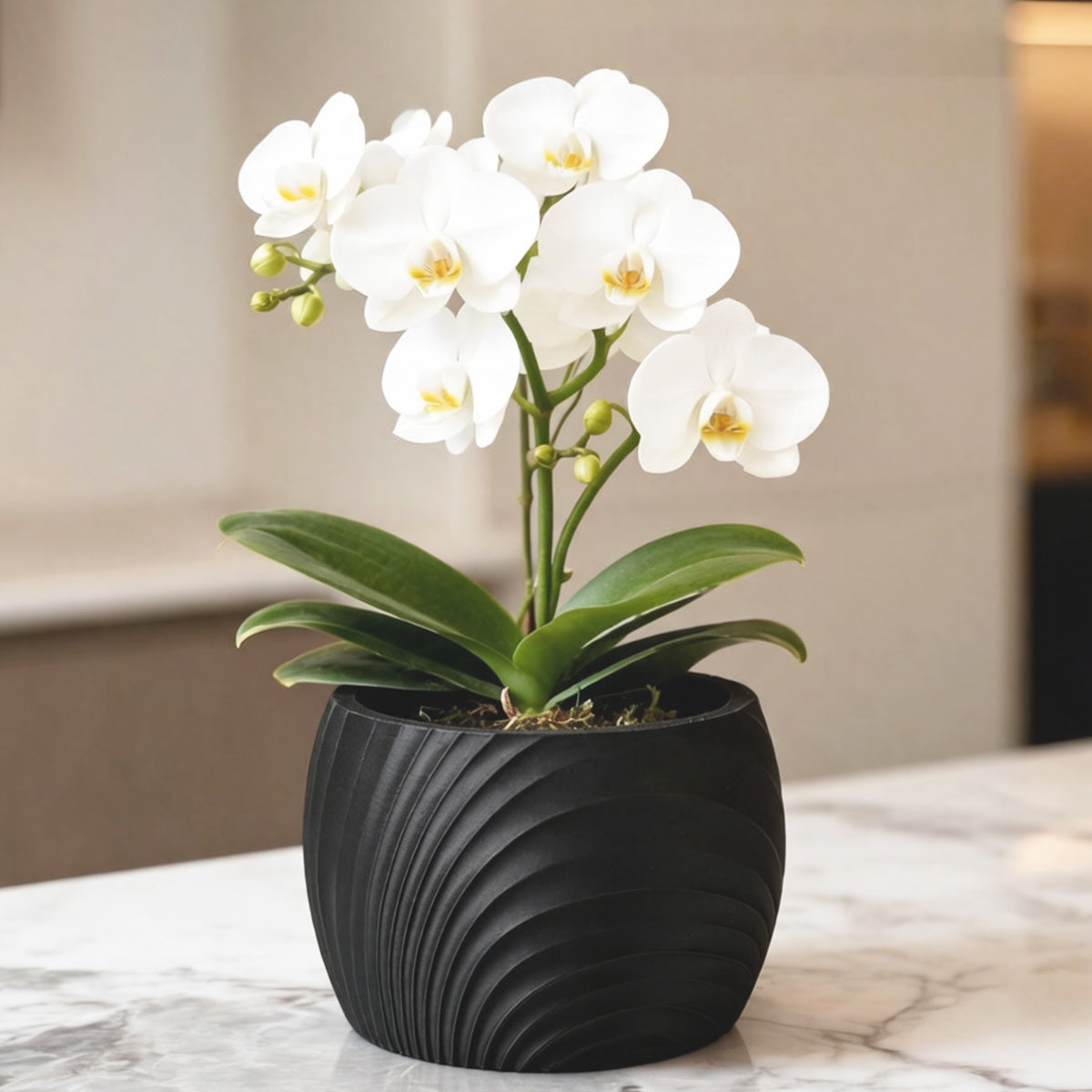 Cache-pot pour orchidée à ondes sculptées — 7 coloris mats