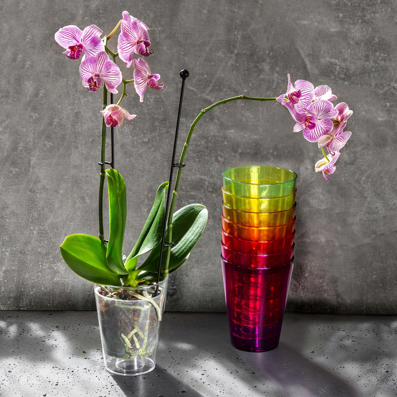 Cache-pot pour orchidée transparent violet Ø 13 cm en plastique