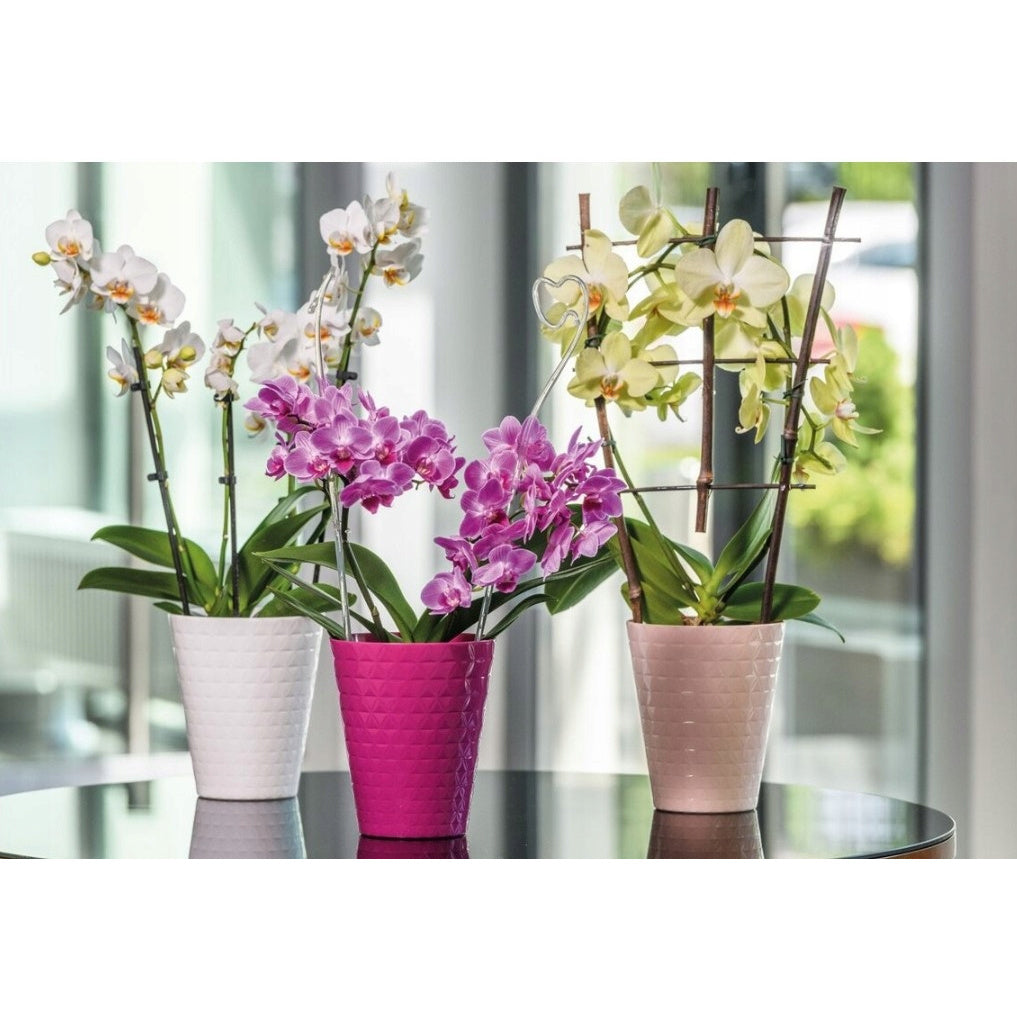 Cache-pot orchidée vert transparent texture diamant Ø 13 cm