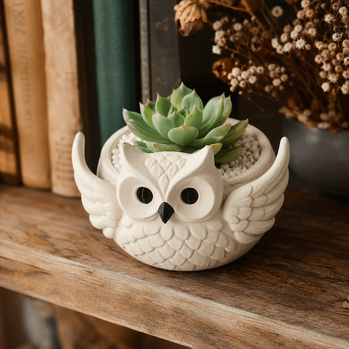 Cache-pot en forme de hibou blanc 12 cm - Pour succulente