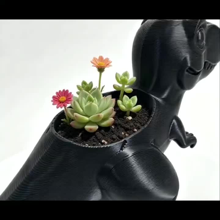 Cache-pot T-Rex 12 cm en résine - Lot de 2 blanc et noir