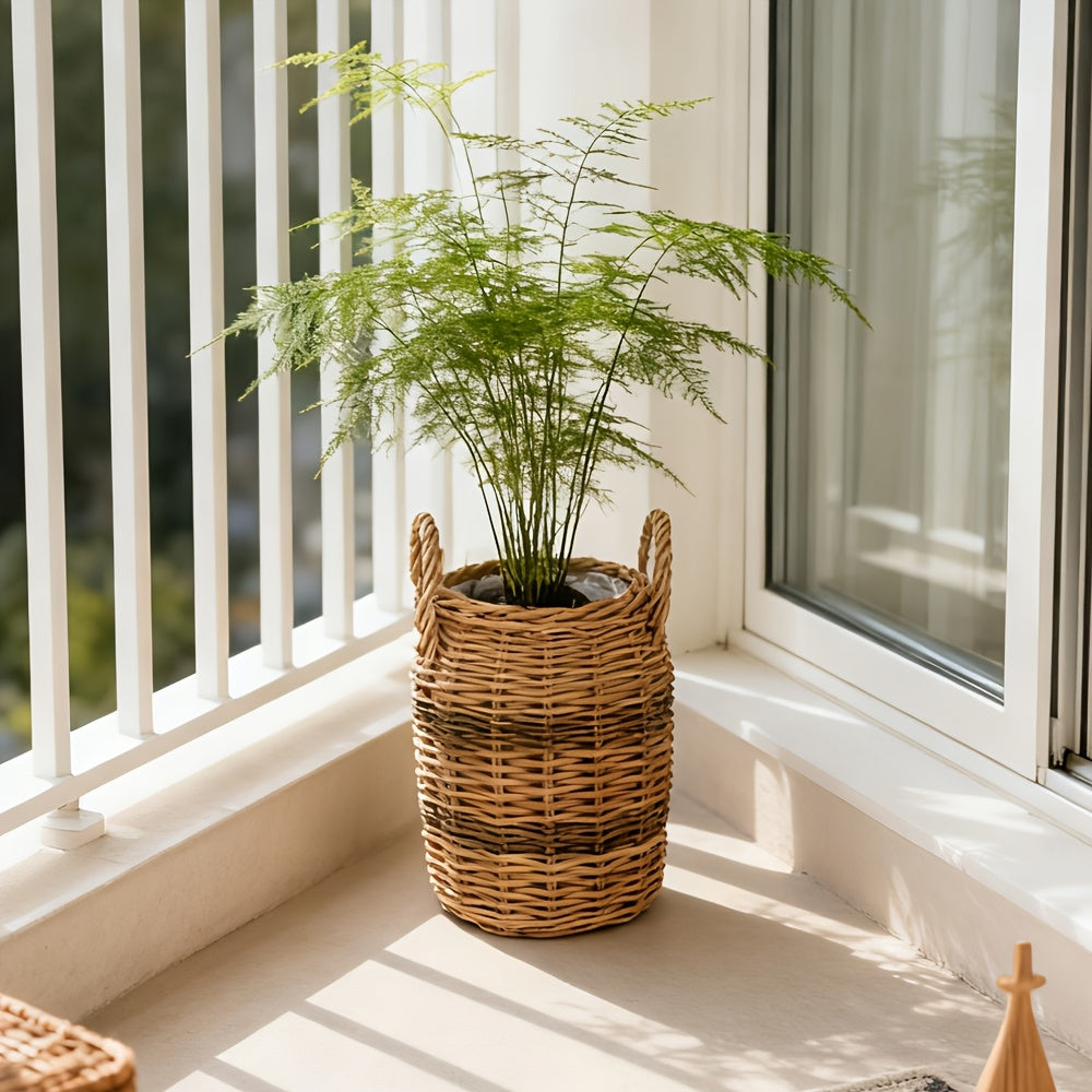 Cache-pot en osier tressé à la main avec anses — Ø 21 à 33 cm
