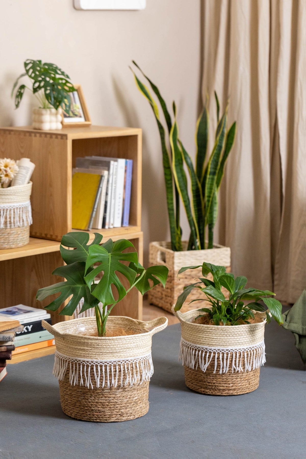 Cache-pot en osier tressé à franges macramé pour intérieur