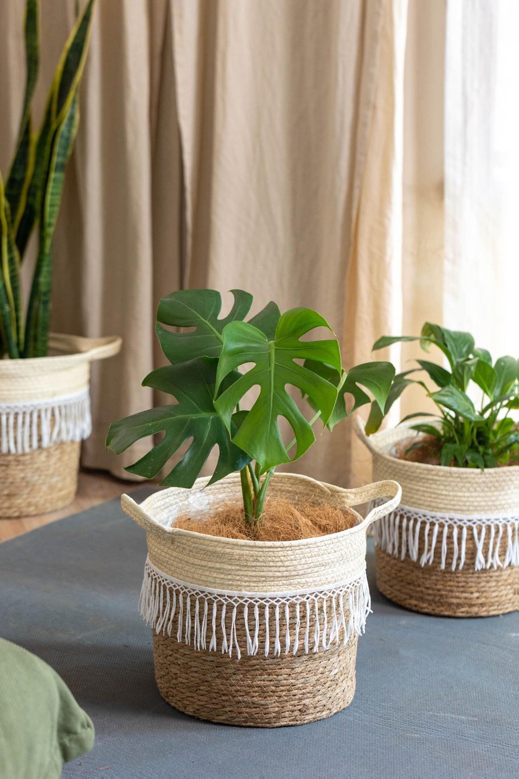 Cache-pot en osier tressé à franges macramé pour intérieur