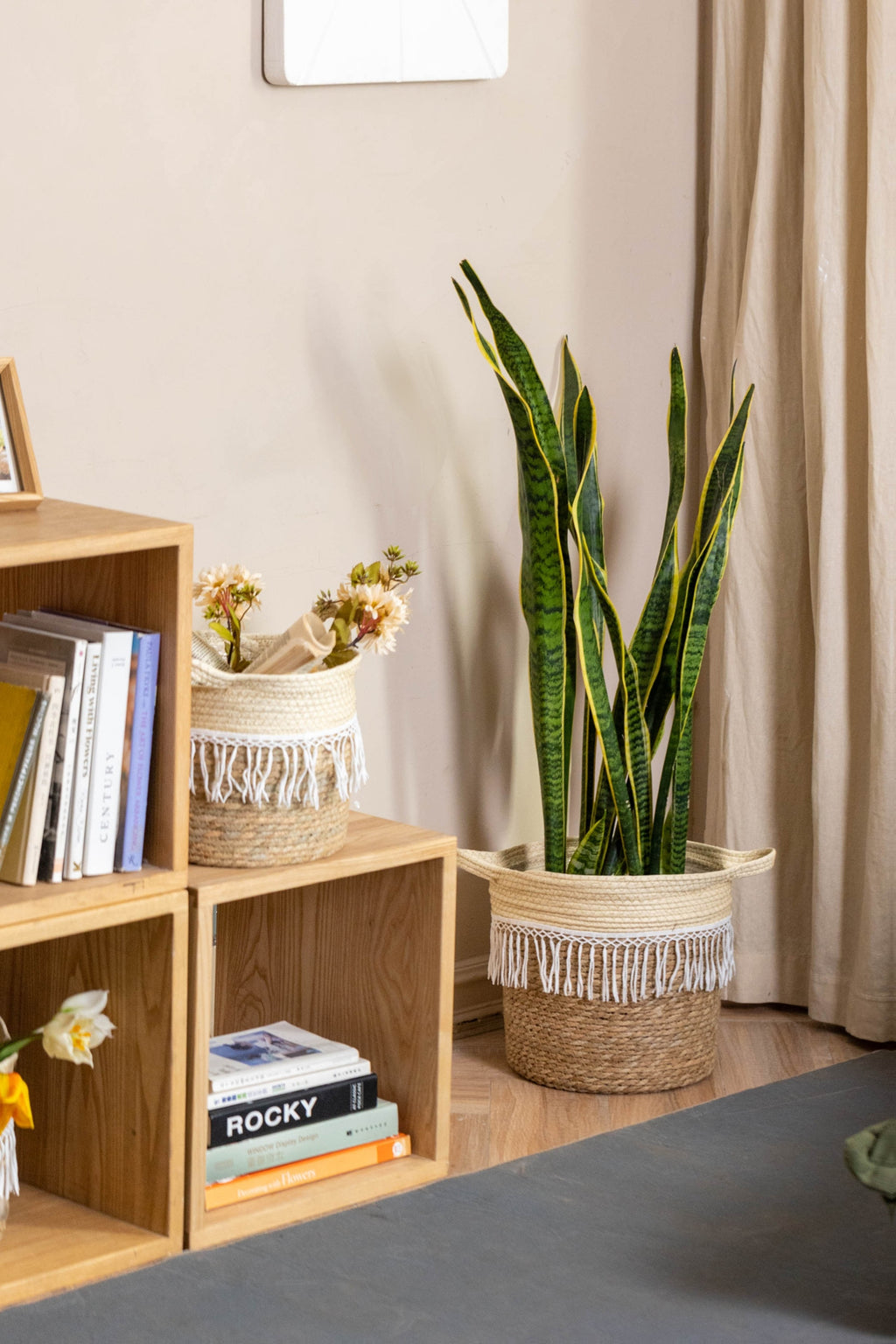 Cache-pot en osier tressé à franges macramé pour intérieur