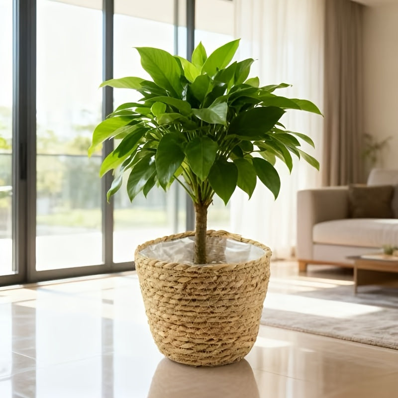 description_selected1