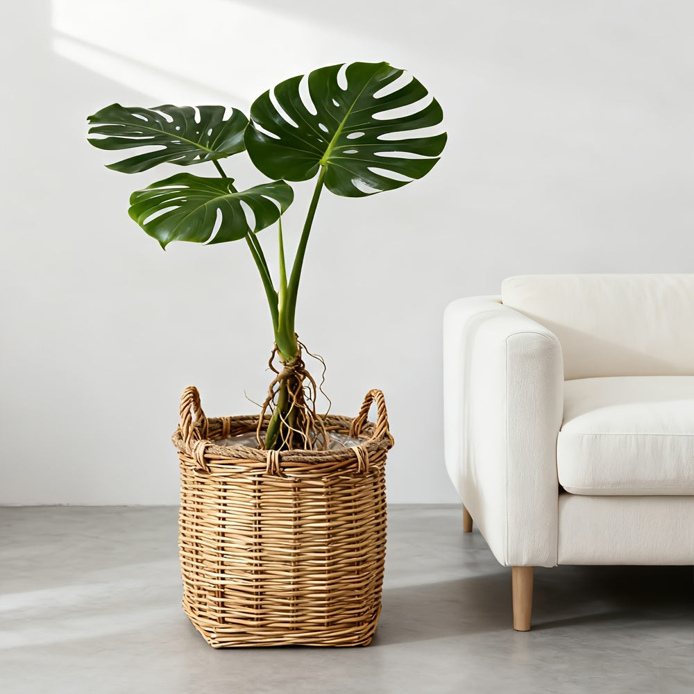 Cache-pot panier en osier et rotin tressés pour intérieur