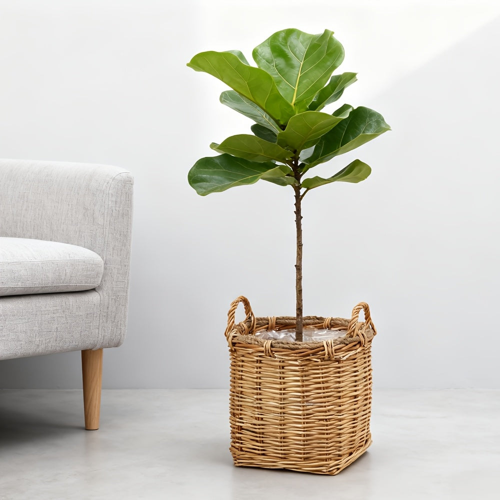 Cache-pot panier en osier et rotin tressés pour intérieur