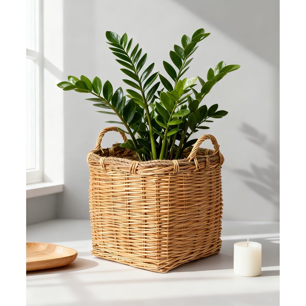 Cache-pot panier en osier et rotin tressés pour intérieur