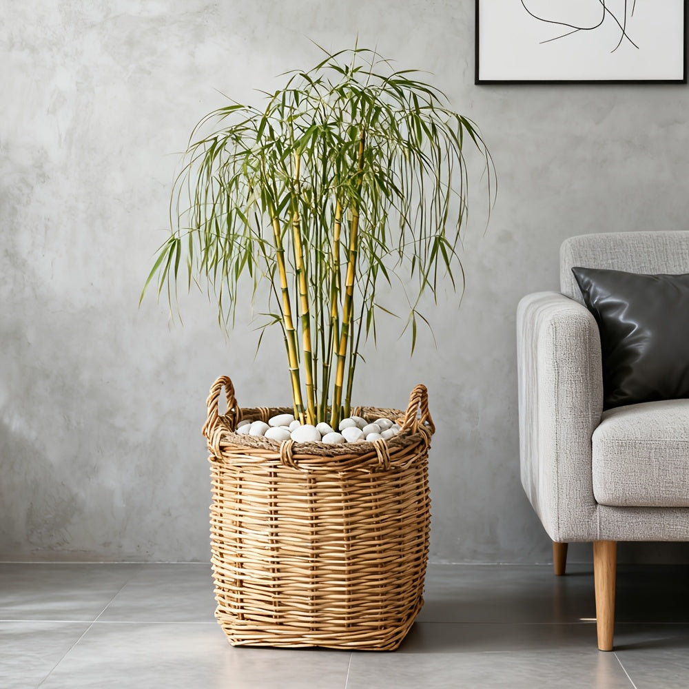 Cache-pot panier en osier et rotin tressés pour intérieur