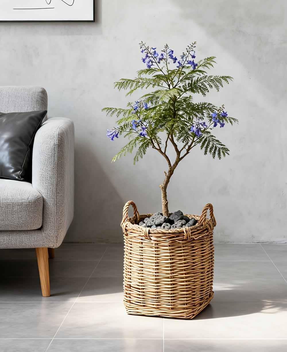 Cache-pot panier en osier et rotin tressés pour intérieur