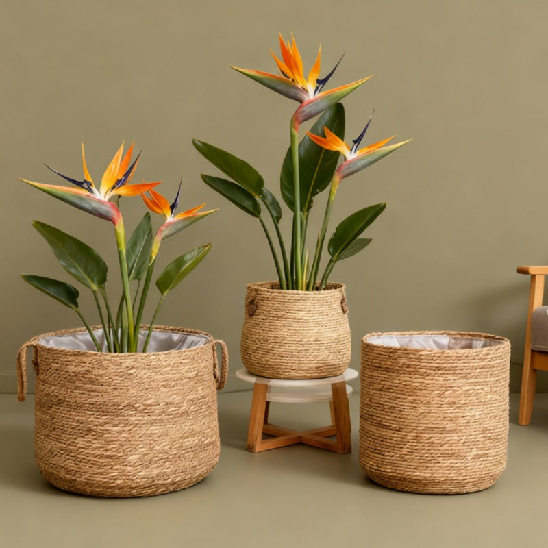 Cache-pot panier en paille tressée Ø 26 cm — naturel et léger