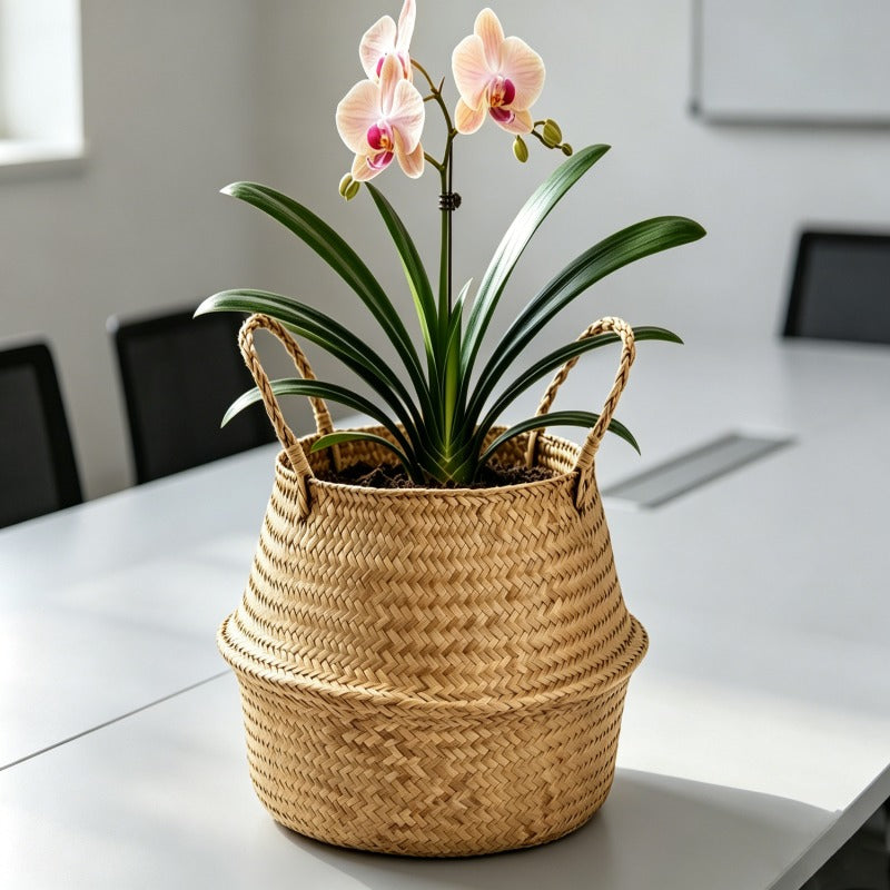 Cache-pot panier tressé Ø 19 cm — Naturel, pliable à anses