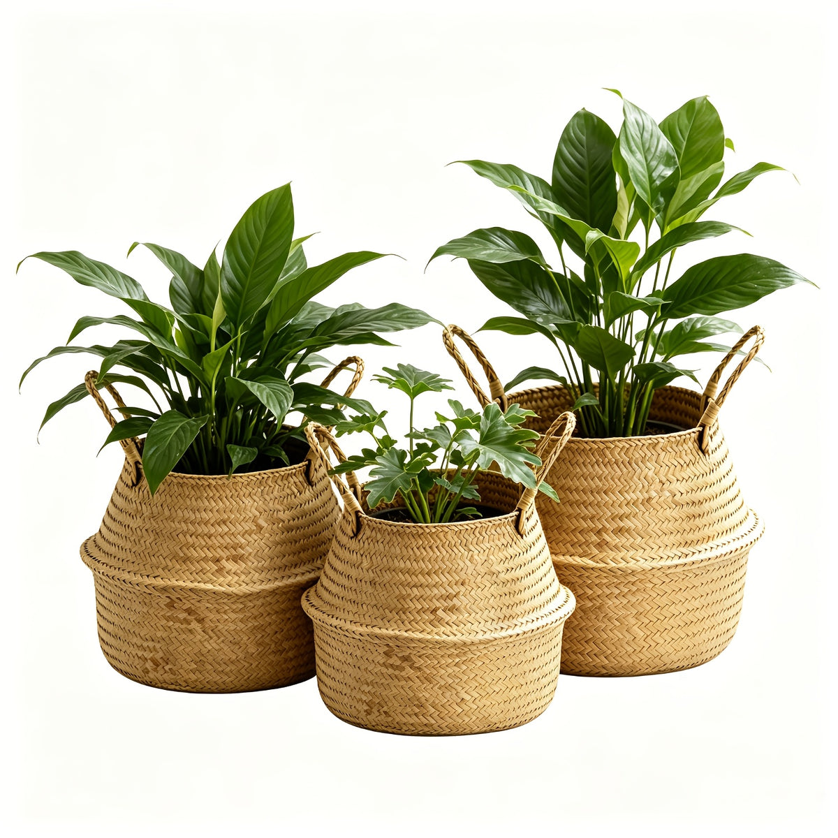 Cache-pot panier tressé Ø 19 cm — Naturel, pliable à anses