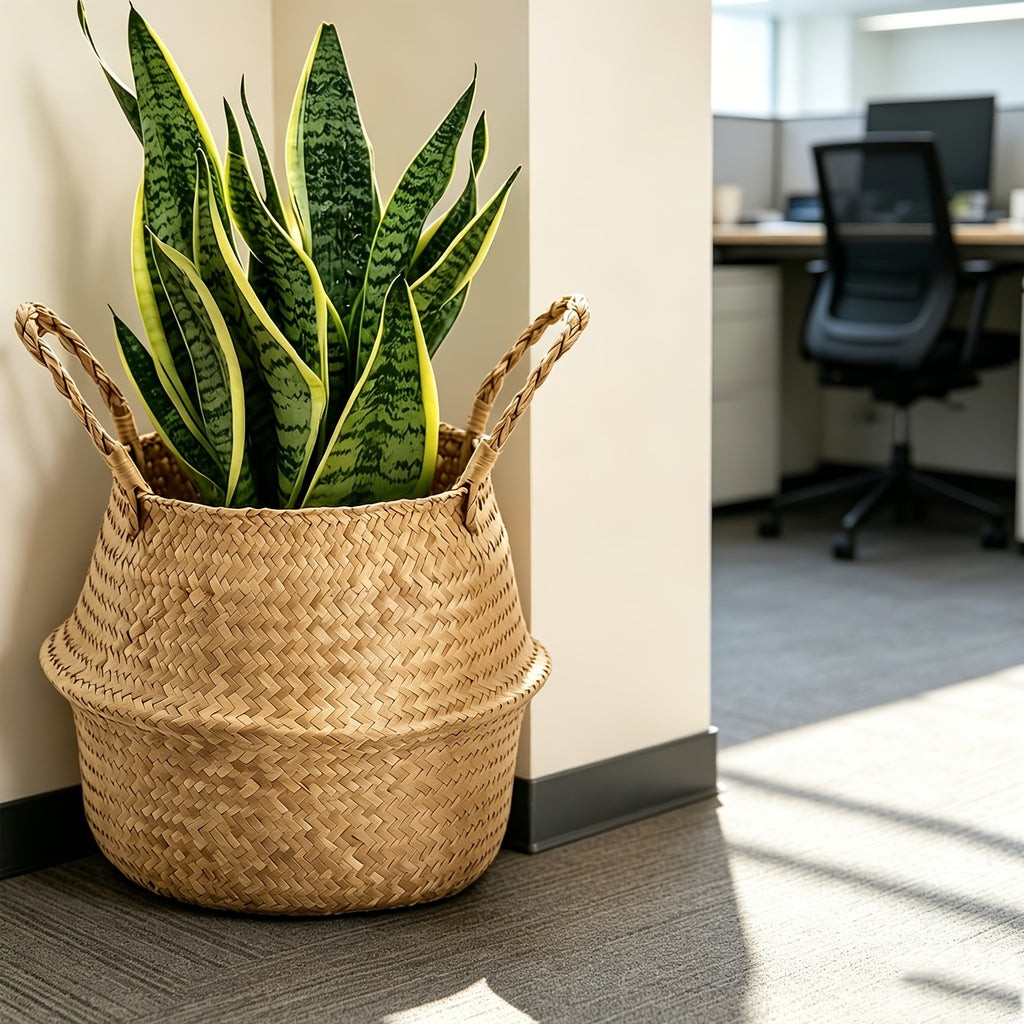 Cache-pot panier tressé Ø 19 cm — Naturel, pliable à anses