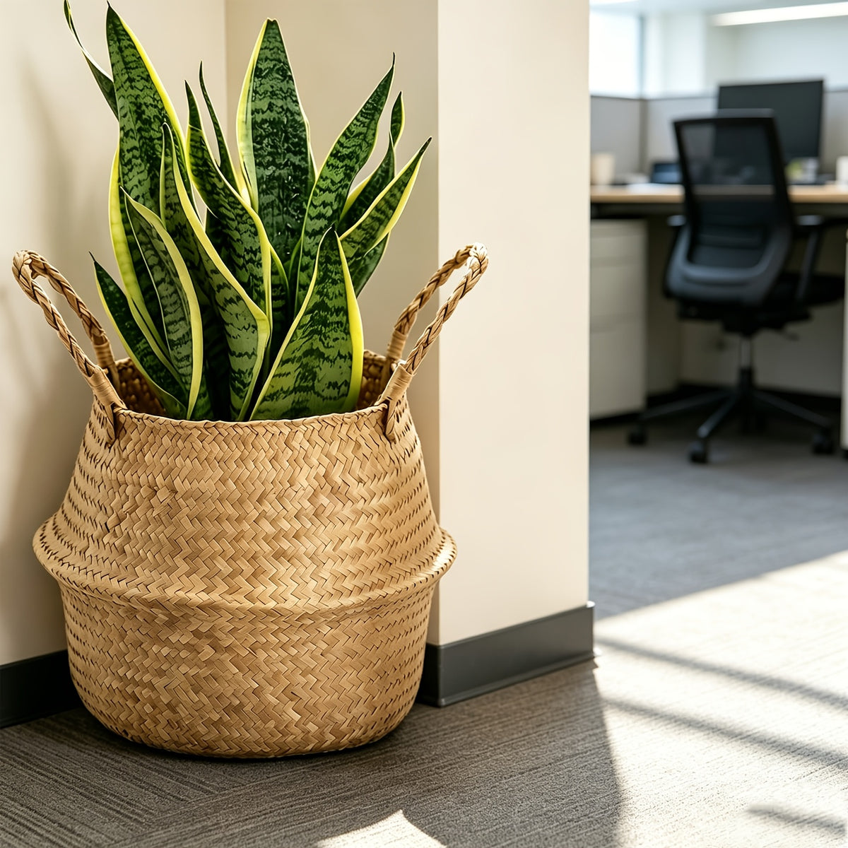 Cache-pot panier tressé Ø 19 cm — Naturel, pliable à anses