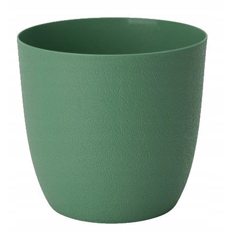 thé vert / plastique Image