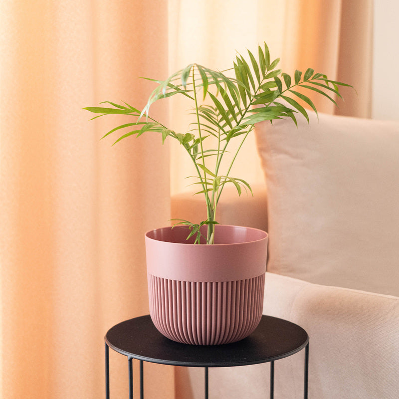 Cache-pot rose cannelé Ø 19 cm en plastique pour intérieur