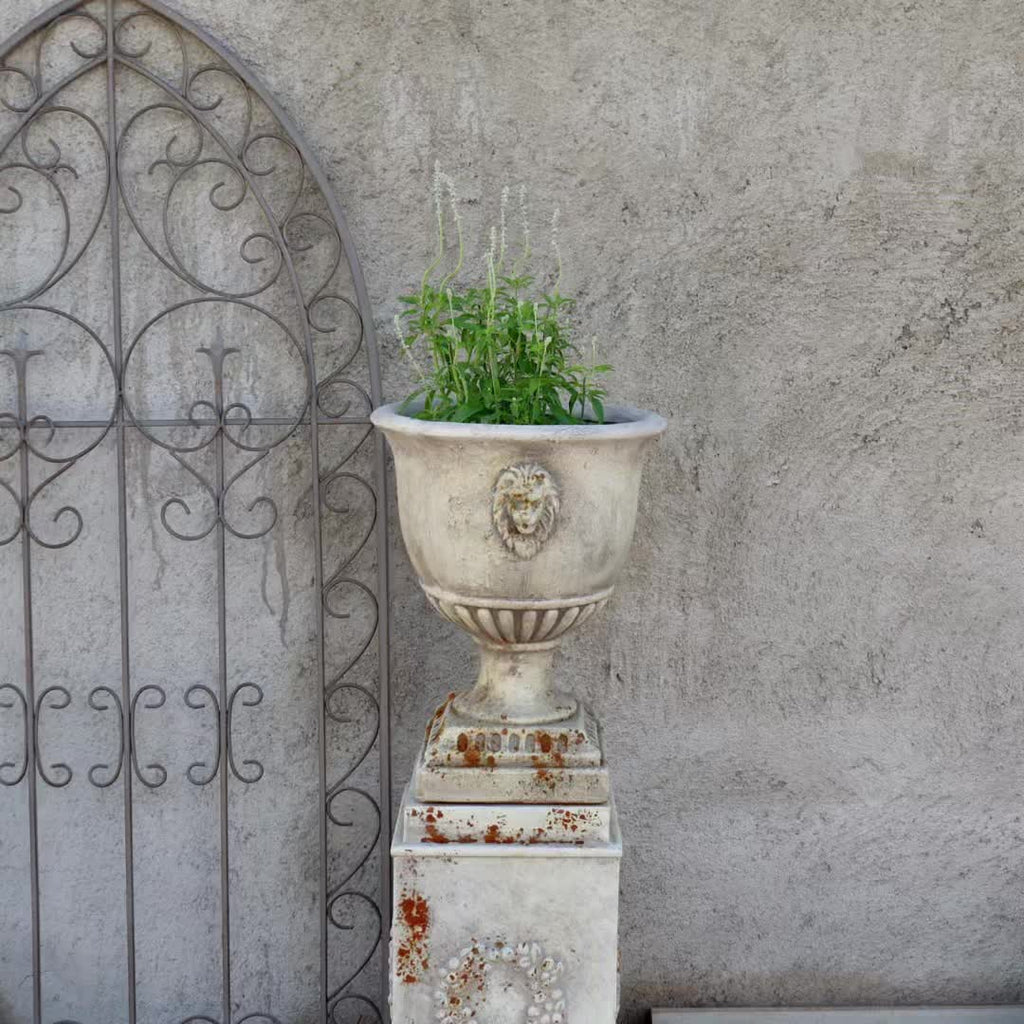 Cache-pot sur pied béton vieilli Ø 33 cm motif tête de lion