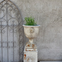 Cache-pot sur pied béton vieilli motif tête de lion