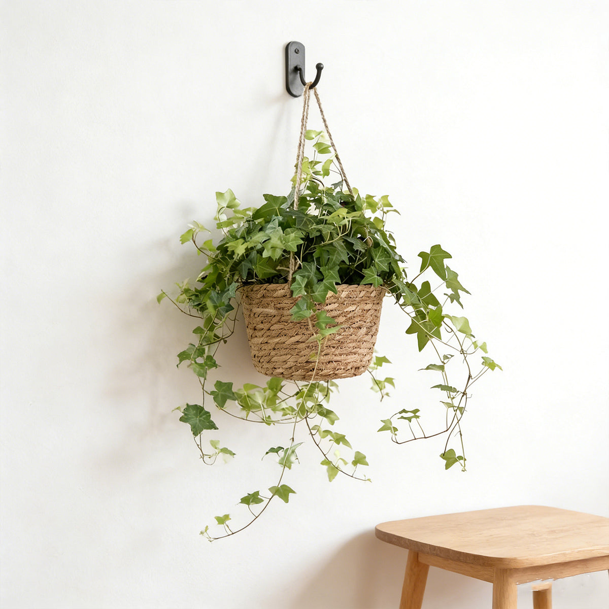 Cache-pot suspendu tressé Ø 20 cm en fibre naturelle - Lot de 2