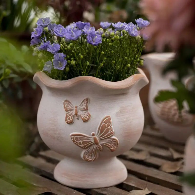 description_selected2 Image