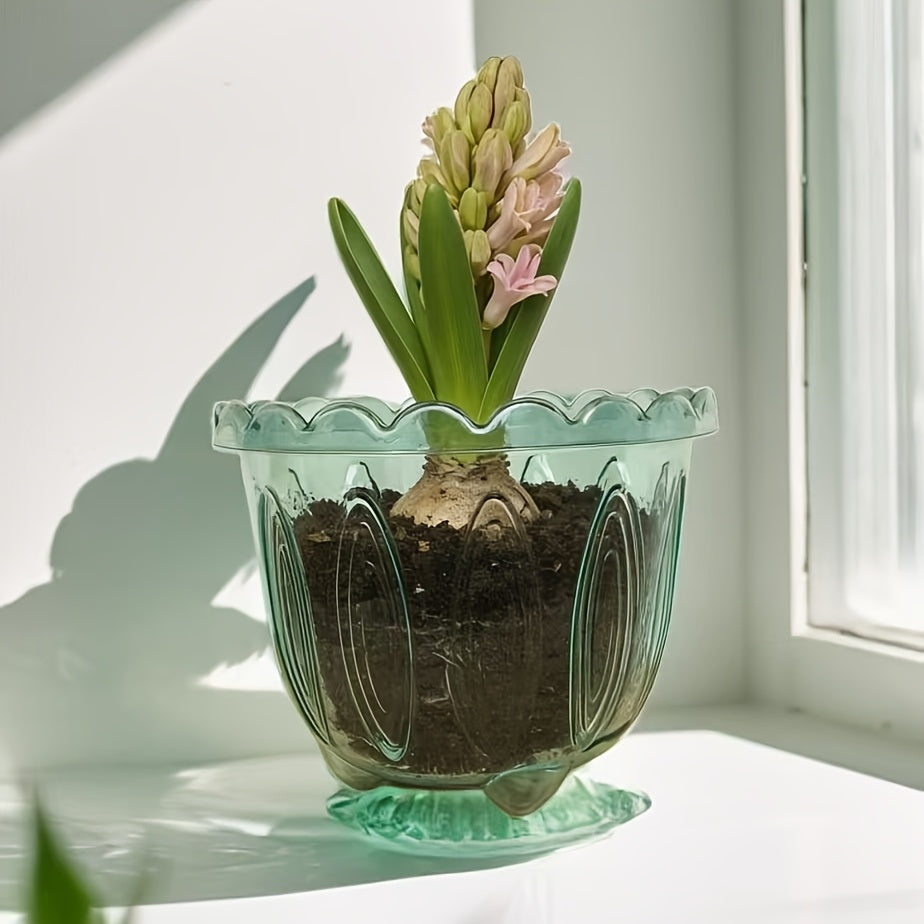 Cache-pot transparent vert Ø 15 cm, bord festonné à pétales