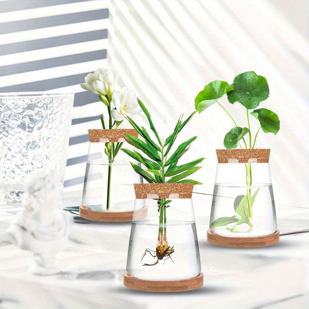 Cache-pot en verre pour bouture, bouchon liège et socle bois