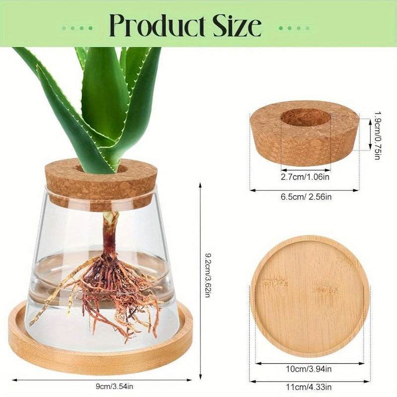 Cache-pot en verre pour bouture, bouchon liège et socle bois
