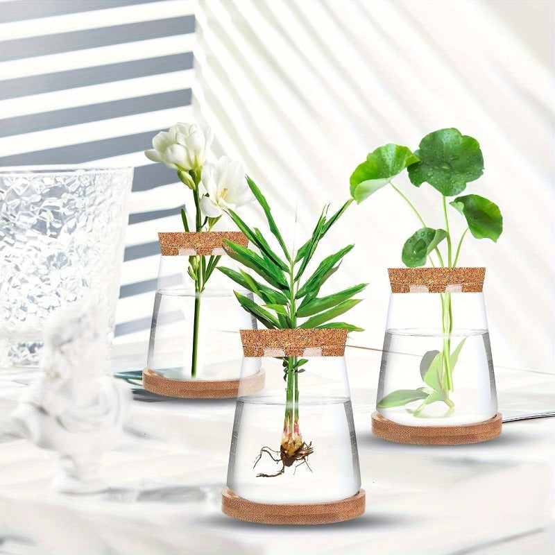 Cache-pot en verre pour bouture, bouchon liège et socle bois