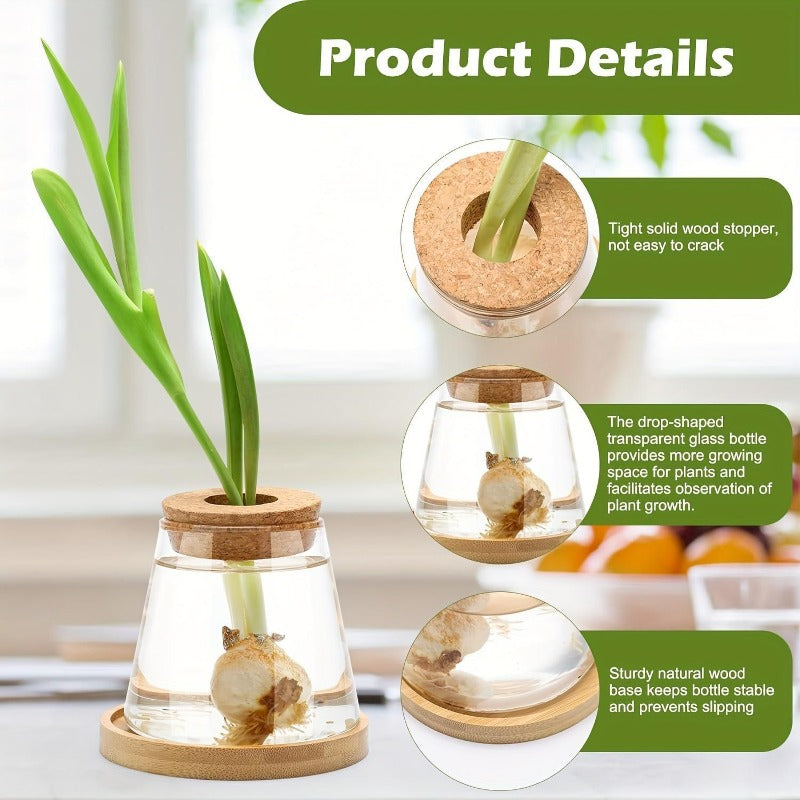 Cache-pot en verre pour bouture, bouchon liège et socle bois