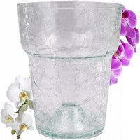 Cache-pot en verre fêlé transparent pour orchidée délicate