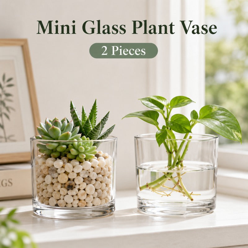 Cache-pot en verre transparent Ø 10 cm — lot de 2 minis