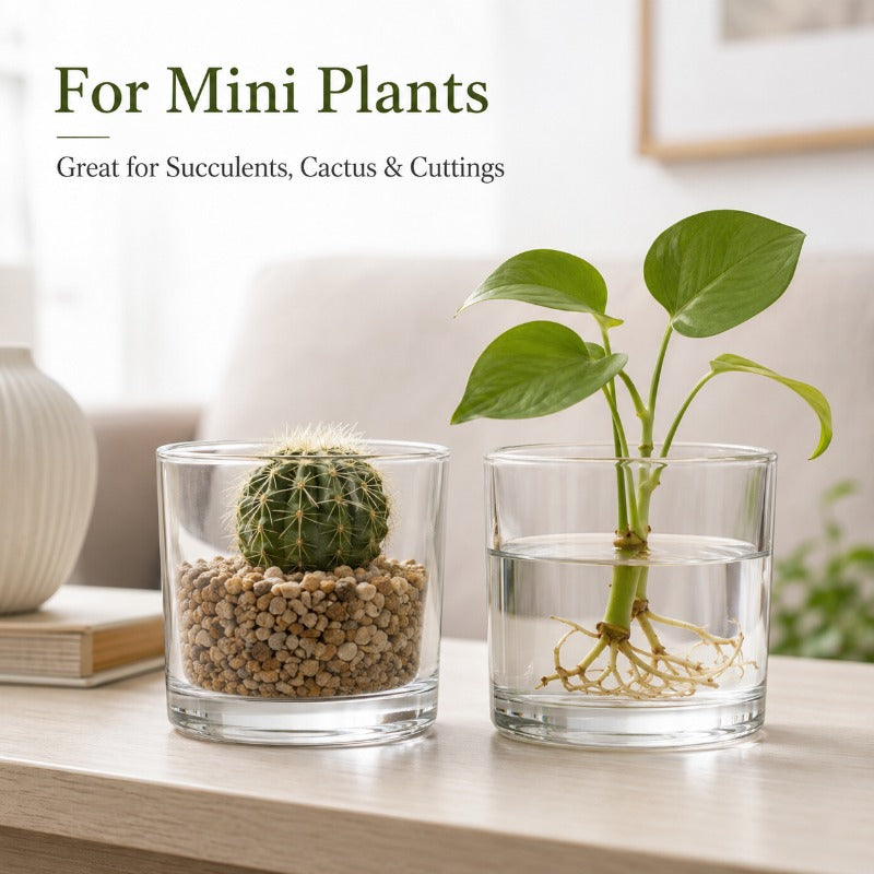 Cache-pot en verre transparent Ø 10 cm — lot de 2 minis