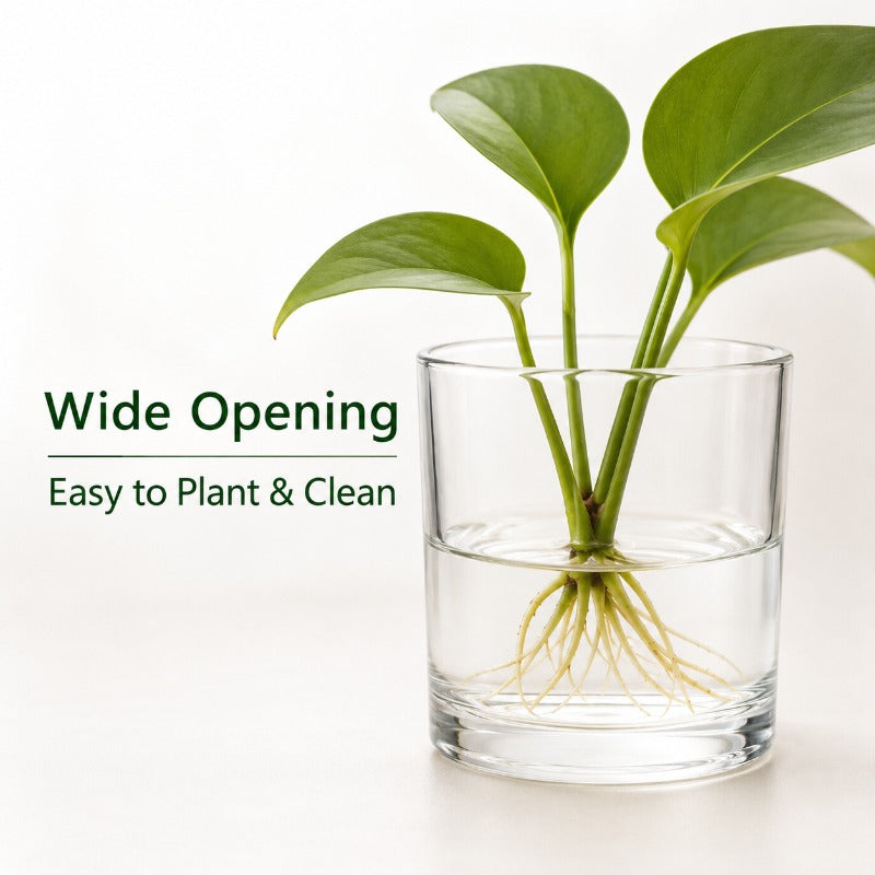 Cache-pot en verre transparent Ø 10 cm — lot de 2 minis