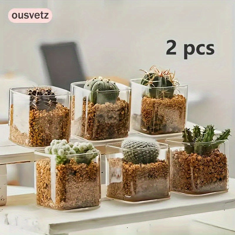 Cache-pot en verre transparent 8 cm — Lot de 2 pour cactus
