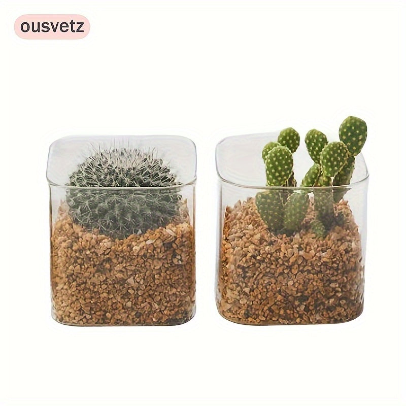 Ensemble de 2 Vases Carrés pour Plantes Succulentes
