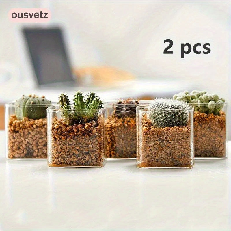 Cache-pot en verre transparent 8 cm — Lot de 2 pour cactus
